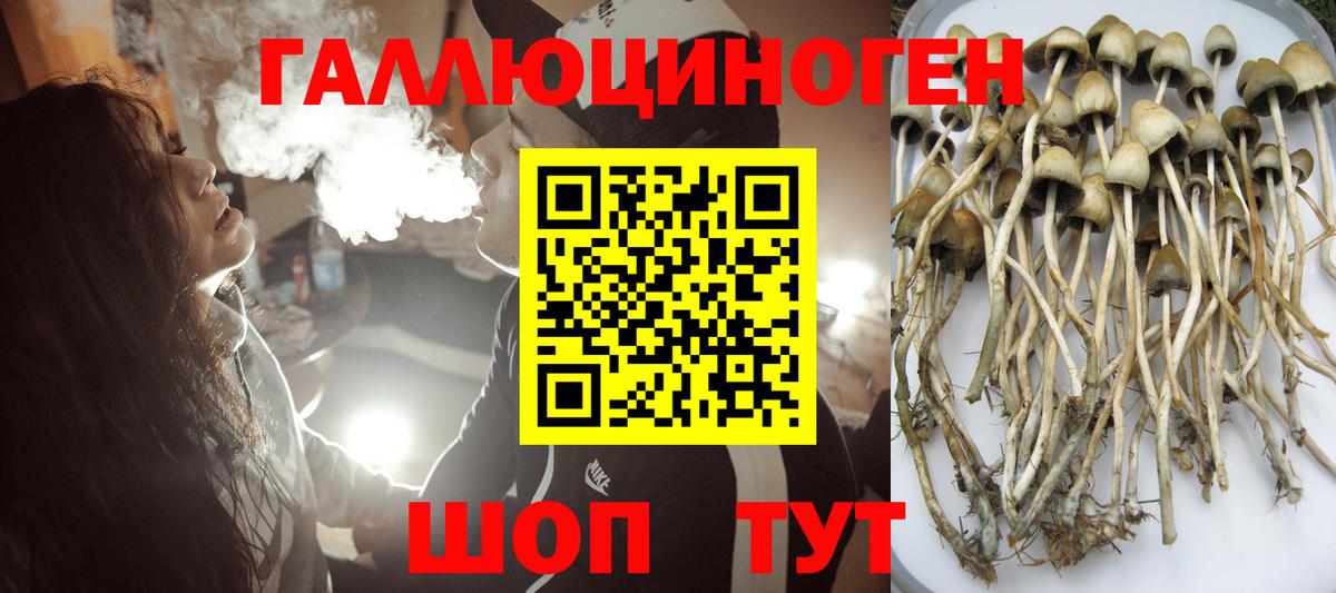 Псилоцибиновые грибы прущие грибы  Вход с VPN  Галлюциногенные грибы Psilocybe  Воронеж 